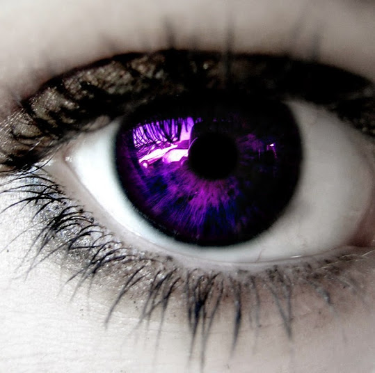 The Secret of the Purple Eye